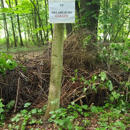 nasz ekologiczny kompostownik 