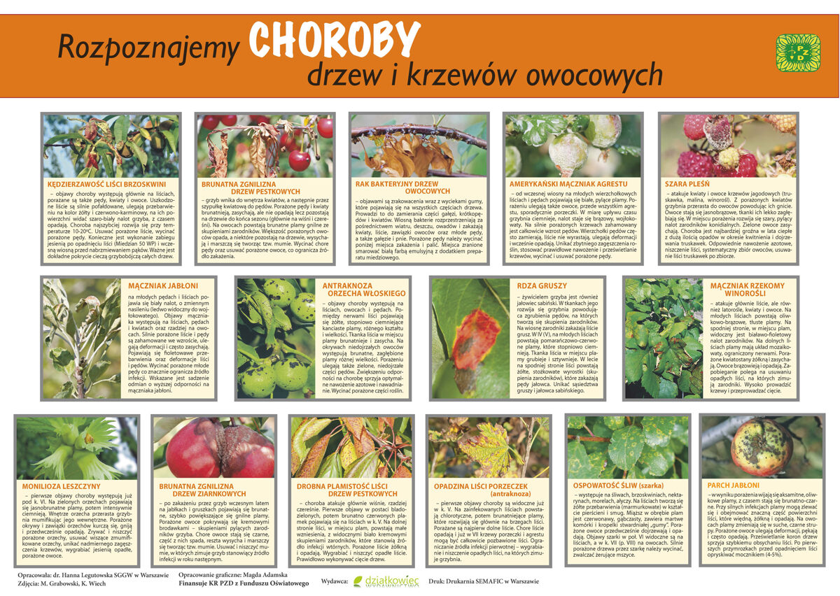 4-roznajemy_choroby.jpg